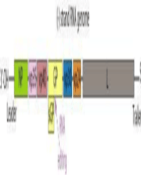 Article Image 1