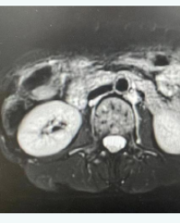 Article Image 1