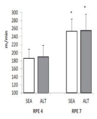 Article Image 1
