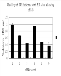 Article Image 1