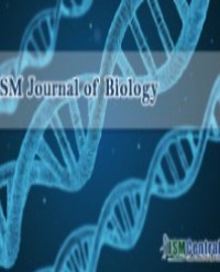 Article Image 1