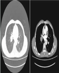 Article Image 1