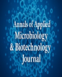 Article Image 1
