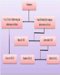 Article Image 1