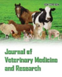 Article Image 1