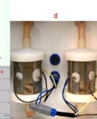 Article Image 1
