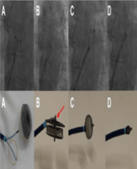 Article Image 1