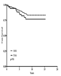 Article Image 1
