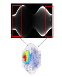 Article Image 1
