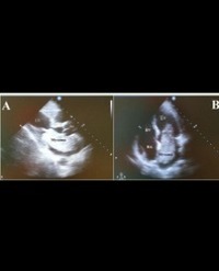 Article Image 1