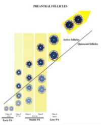 Article Image 1