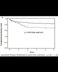 Article Image 1
