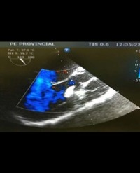 Article Image 1