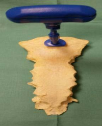 Article Image 1