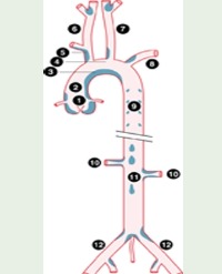 Article Image 1