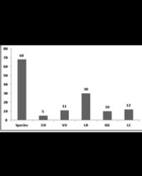 Article Image 1