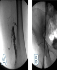 Article Image 1