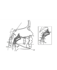 Article Image 1