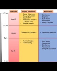 Article Image 1