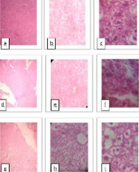 Article Image 1