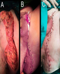 Article Image 1