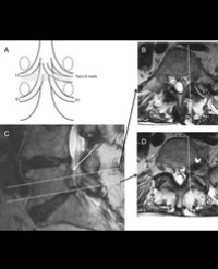 Article Image 1