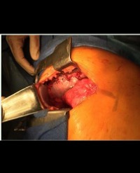 Article Image 1