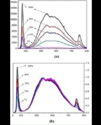 Article Image 1