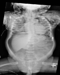 Article Image 1