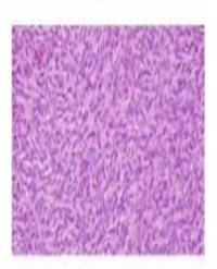 Article Image 1