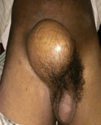 Article Image 1