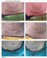 Article Image 1