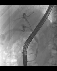 Article Image 1