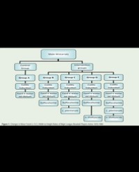 Article Image 1