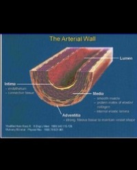Article Image 1