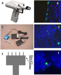 Article Image 1