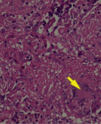 Article Image 1
