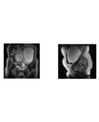 Article Image 1