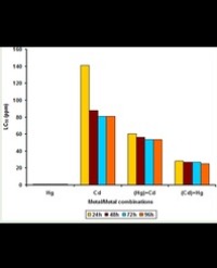 Article Image 1