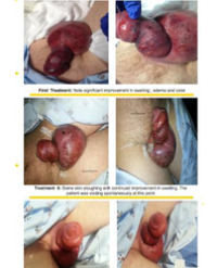 Article Image 1