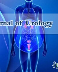 Article Image 1