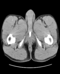 Article Image 1