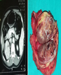 Article Image 1