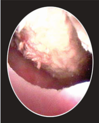 Article Image 1