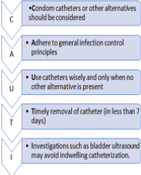 Article Image 1