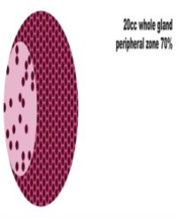 Article Image 1