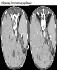 Article Image 1