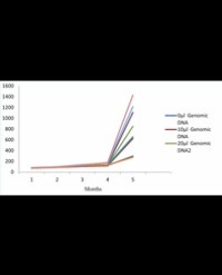Article Image 1