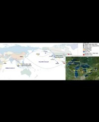 Article Image 1