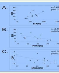 Article Image 1